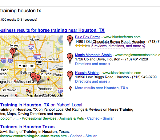 Google search for horse training houston tx