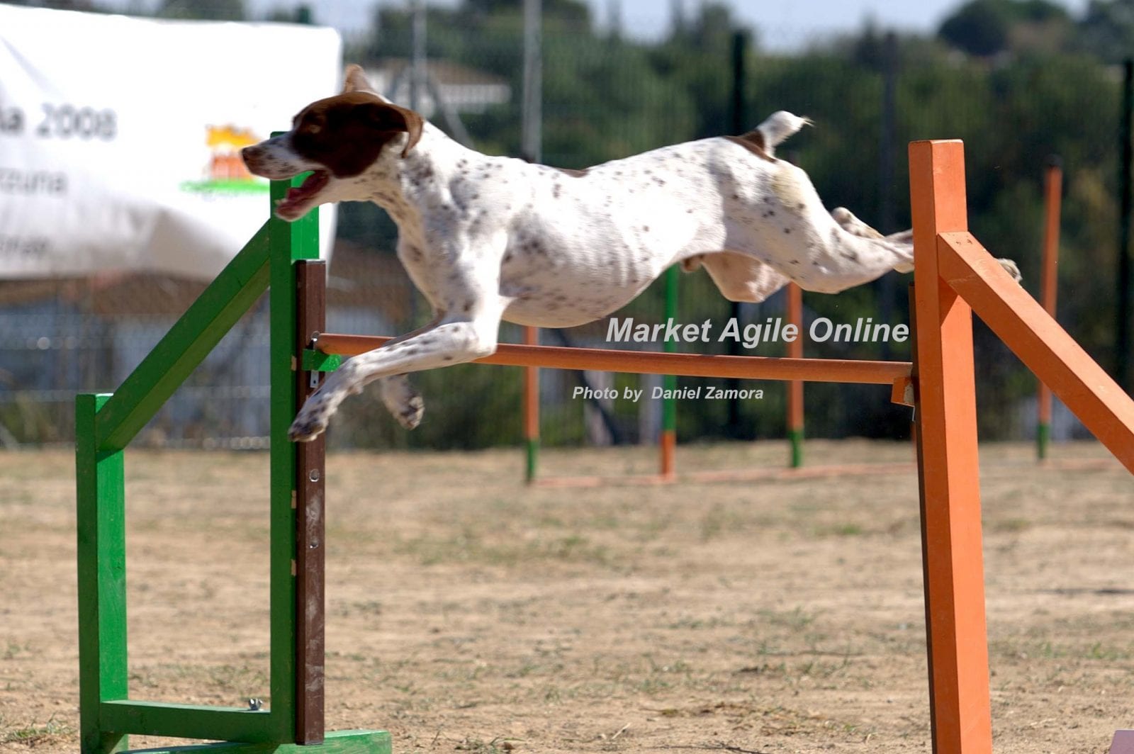 Agile Marketing Guides You Over Obstacles
